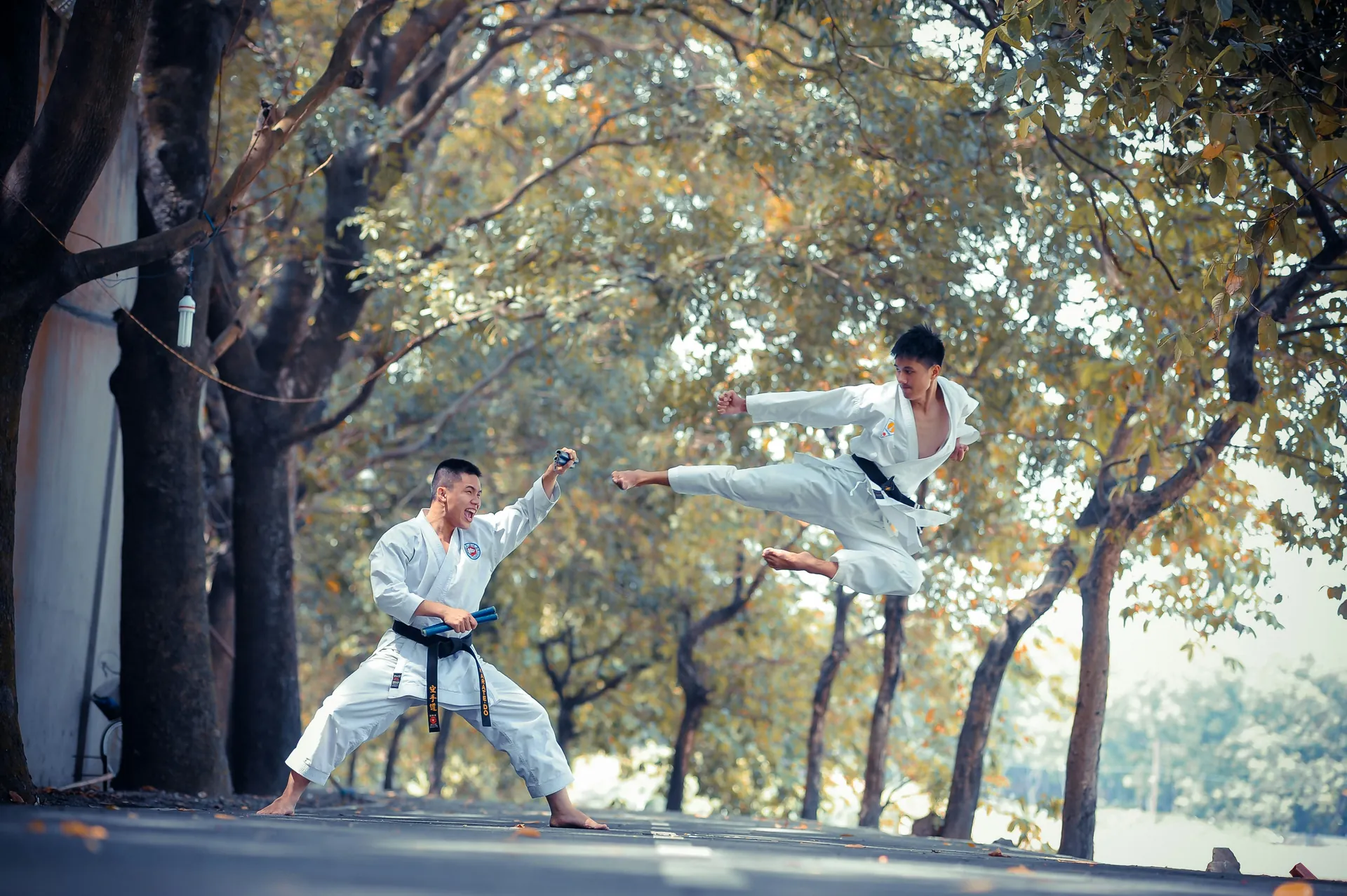 Kung-fu